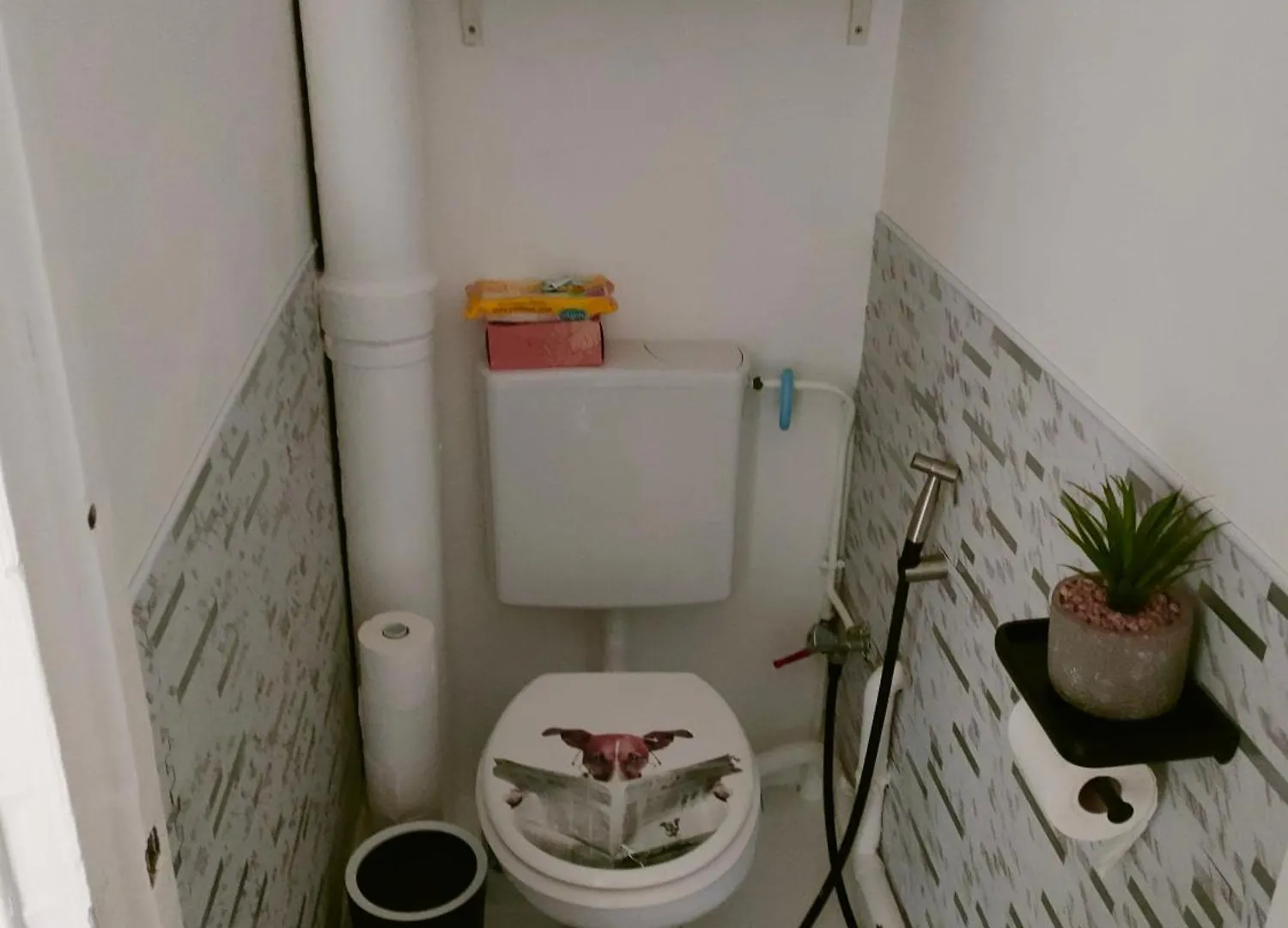 Chambre Spacieuse Vu Sur La Tour Paris 0*,